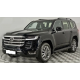 300 Series 2021