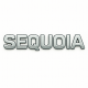 Sequoia